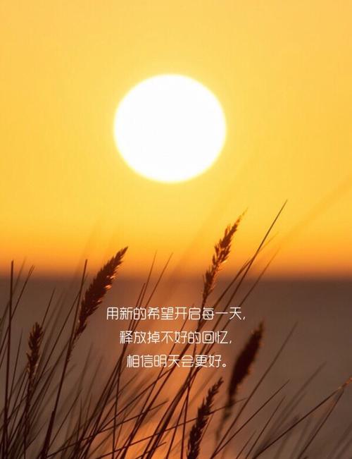 关于明天的一句话会更好