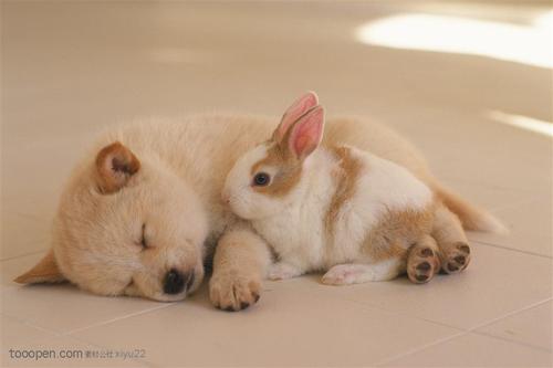 形容可爱的句子 2