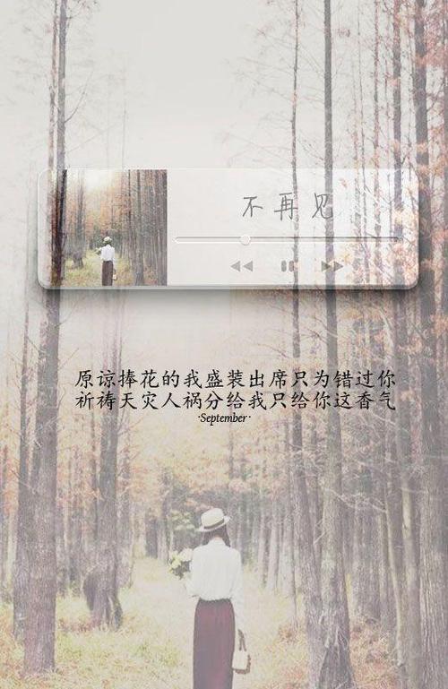 琼瑶经典伤心语录