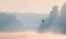 亲情爱纯洁的句子