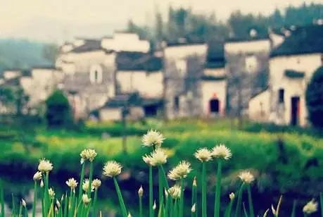 亲情爱纯洁的句子 2