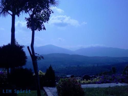 关于清明节的诗句 2