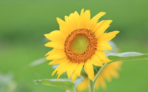 亲情伤心烦躁句子说说心情 2