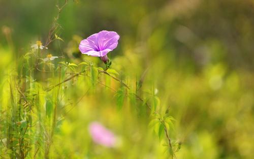 亲情伤心烦躁句子说说心情