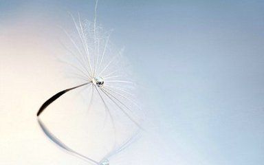 健康亲情最重要的句子 2