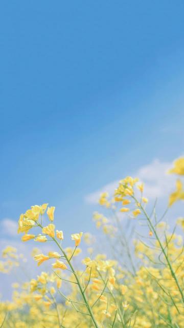 发QQ伤心不开心的句子