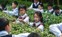 励志学习的座右铭