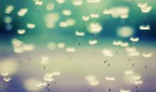 亲情越来越不好的句子