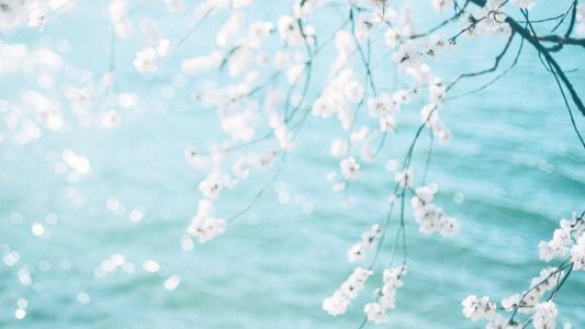 亲情越来越不好的句子 1