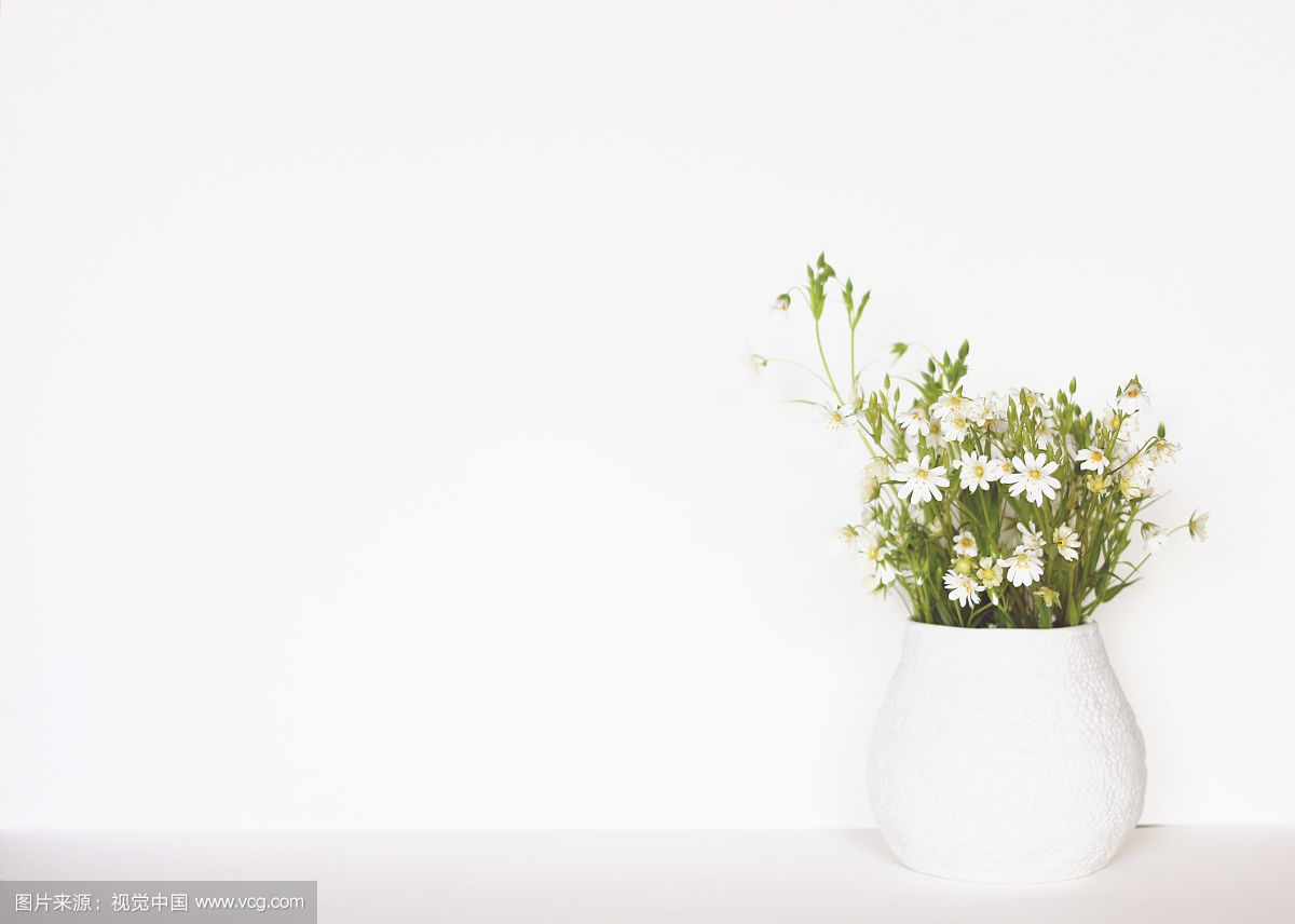 15.青少年的幻想既狂热又可爱