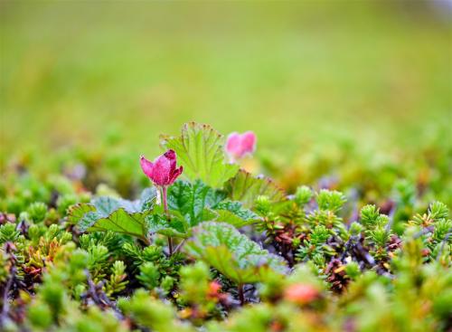 亲情越来越不好的句子 2