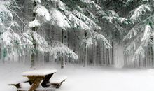 好的心态座右铭