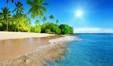 亲情背后捅一刀句子