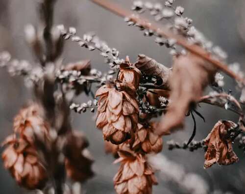 被爱情背叛的心痛句子说说心情 2