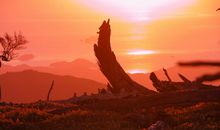 你可以忘记一个城市的风景