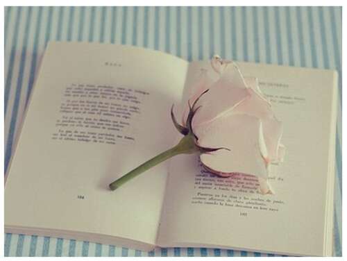 优美的句子摘抄 好句子摘抄