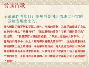 诗人的爱国主义诗