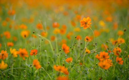 形容工作的不开心的句子 表示工作不顺心 1