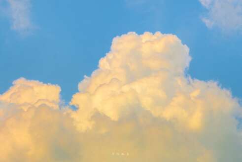 有趣的句子只对女孩。超级可爱幽默的句子