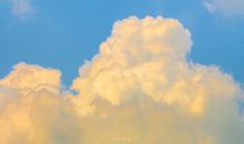 逗比女生专用搞笑的句子说说 超级可爱的幽默句子