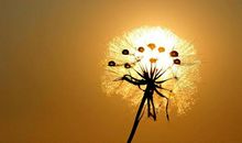 亲情温暖感动的句子说说心情