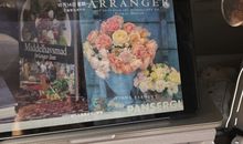 抖音调皮搞笑的句子 可爱幽默到爆炸的句子