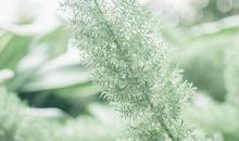 亲情胜于一切的句子