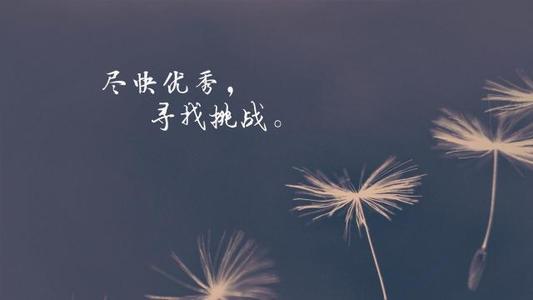 贫穷和美丽的朋友圈