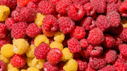 让自己发光发亮开心的句子 2