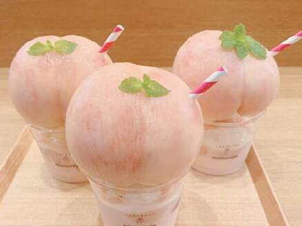 桃子的朋友们的夏日圈子关于桃子的文学和可爱的句子美丽的文案1