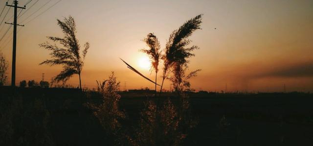 表示对情人心寒心痛的句子 2