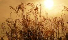 对希望失望的句子