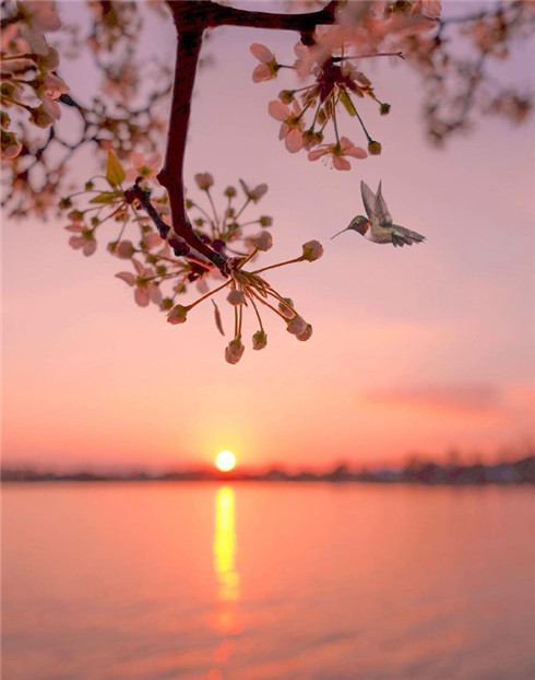 12.我装作无所谓，但发现您真的不在乎。