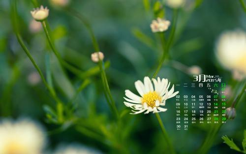 工作开心努力的句子说说心情短语 1