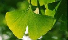 希望自己开心的句子