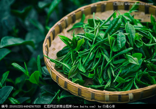 11.我喜欢喝奶茶。甜蜜的气味总是使我的心浮起，瞬间变软至最深。