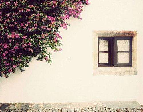 小学生描写亲情的句子大全 2