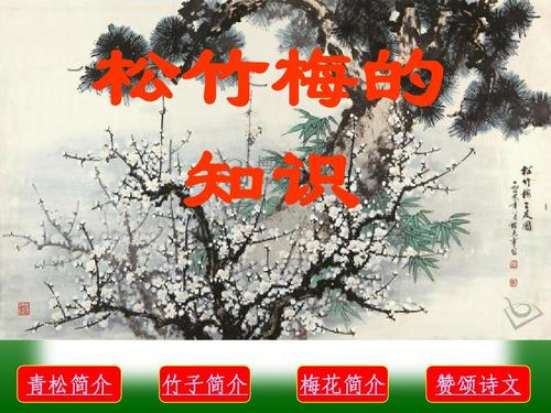 赞美青松的诗句