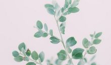 工作让自己每天不开心的句子