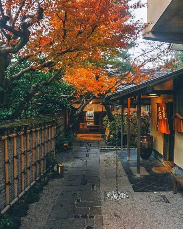 关于丈夫失望的一句话1