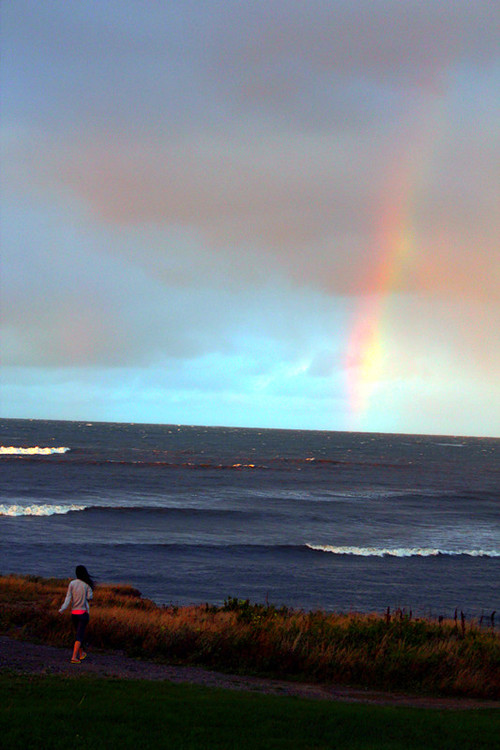 20.只有意外的人，没有不可能的事。如果您想这样做，总会有一种方法。如果您不想这样做，将有成千上万的原因。命运不会永远偏爱你，也不会永远忽略你。由于没有其他选择，因此您只能调整自己的心态并从容地接受它。当它为您关闭一扇门时，它也会为您打开一扇窗户。如果您学会放手，您的生活会突然变得更光明，您的生活将会变得清晰。
