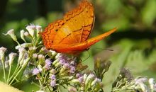 假期结束的短信问候