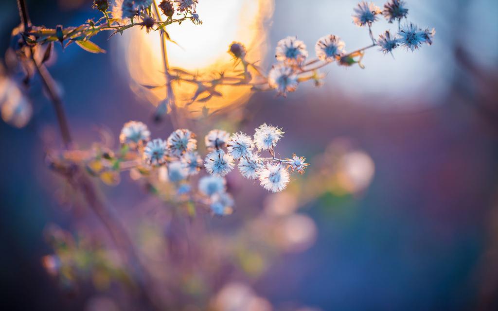 47.这个世界是如此美丽，到处都是树木和草丛。保护环境非常重要，我们都希望保护环境。