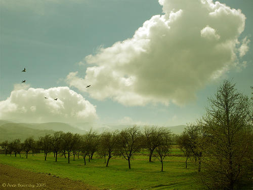 男朋友希望我开心的句子 1