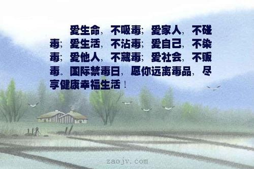 幸福生活一句话