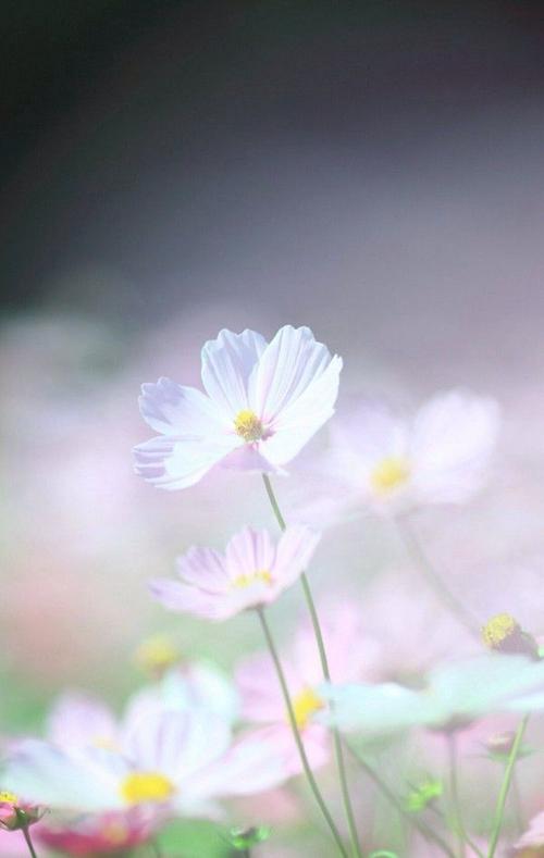 有关亲情浓厚的句子