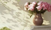 希望朋友开心的句子说说心情