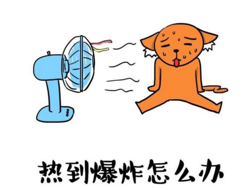 谈论朋友的decade废圈