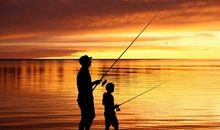 关于亲情有动作的句子