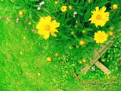 10.卫生保健常识：在春季和夏季之交，气候温度变化很大。您应该更加注意补充水。多吃鱼，瘦肉，豆制品和高蛋白含量的苦菜。这些可以清热，也富含营养。